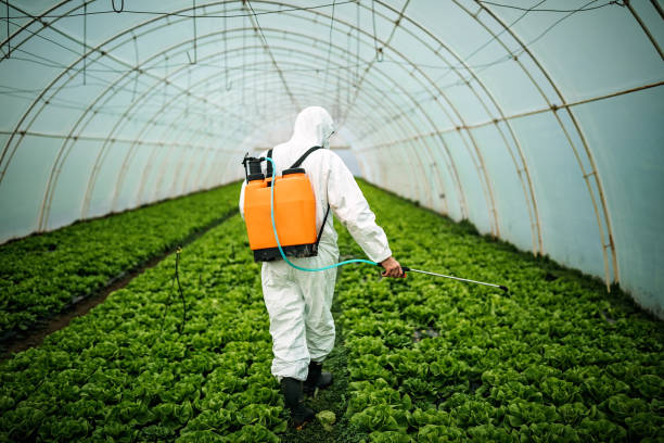 Best Residential Pest Control  in Bellingham, WA