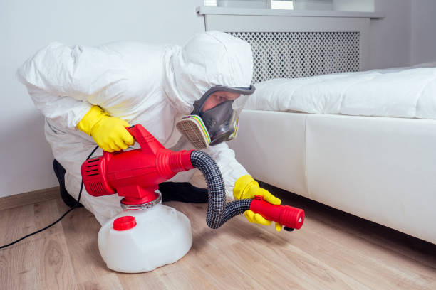 Best Best Pest Control Companies  in Bellingham, WA
